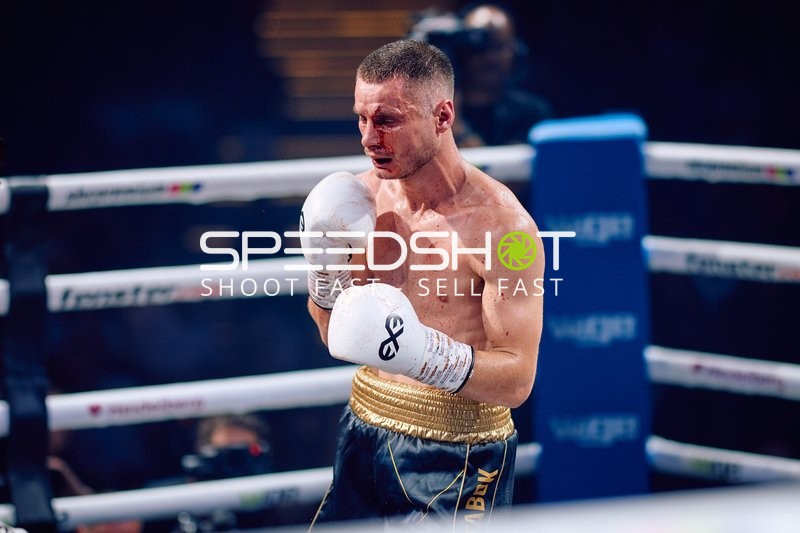 Boxer in Ringside Zone