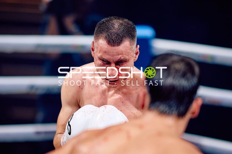 Boxer in Ringside Zone