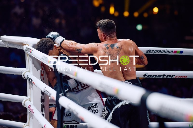 Boxer in Ringside Zone