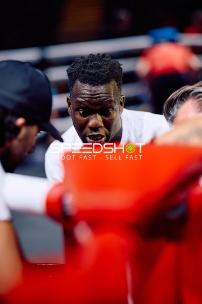 Boxer in der Ringside Zone