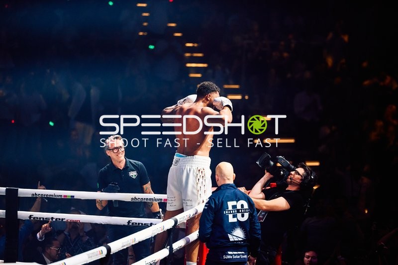 Boxer in Ringside Zone