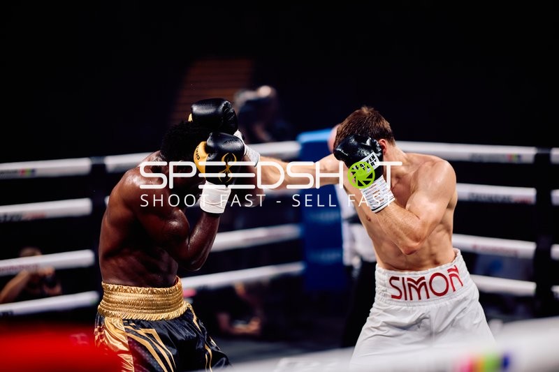 Boxer in Ringside Zone