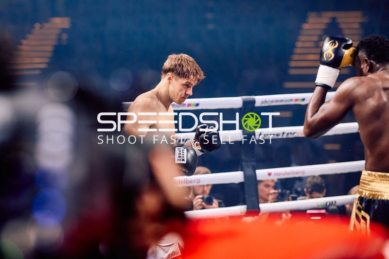 Boxer in Ringside Zone