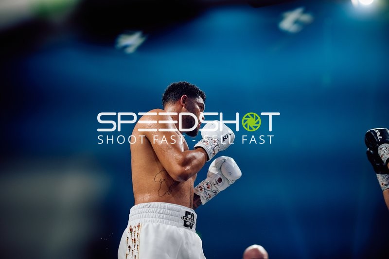 Boxer in Ringside Zone