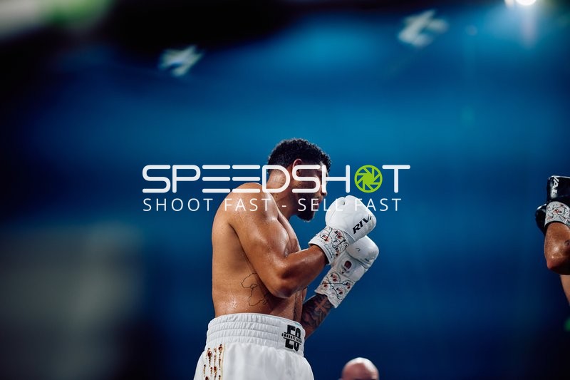 Boxer in Ringside Zone