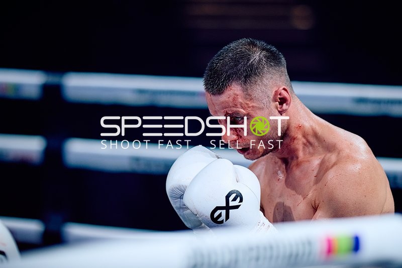 Boxer in Ringside Zone