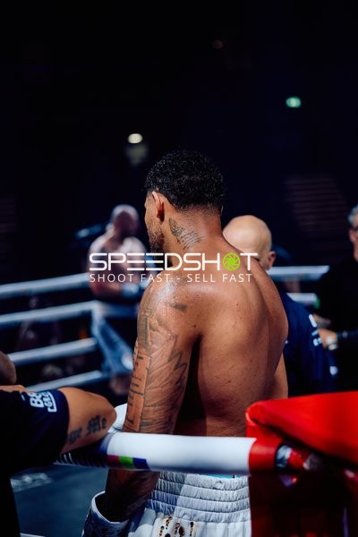 Boxer in Ringside Zone