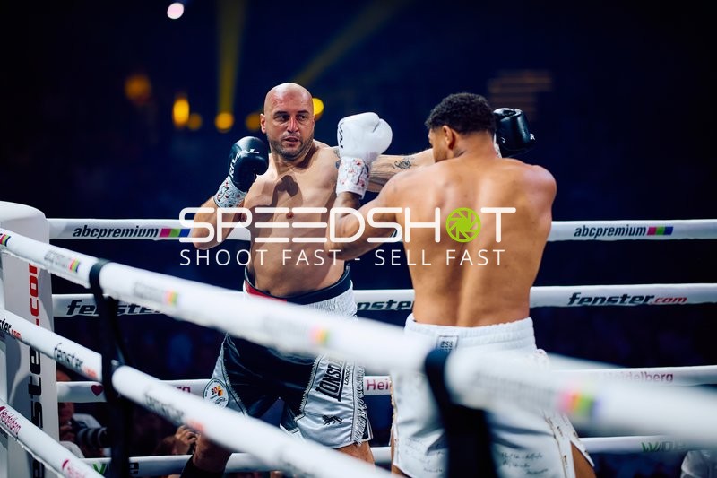 Boxer in Ringside Zone