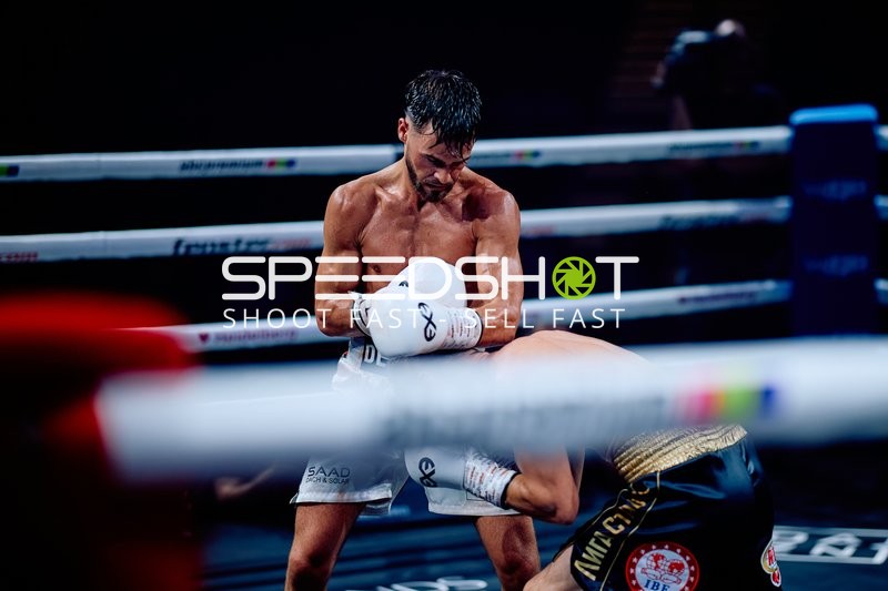 Boxer in Ringside Zone Boxevent