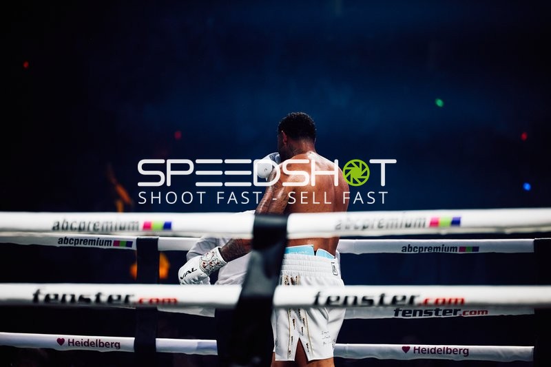 Boxer in Ringside Zone