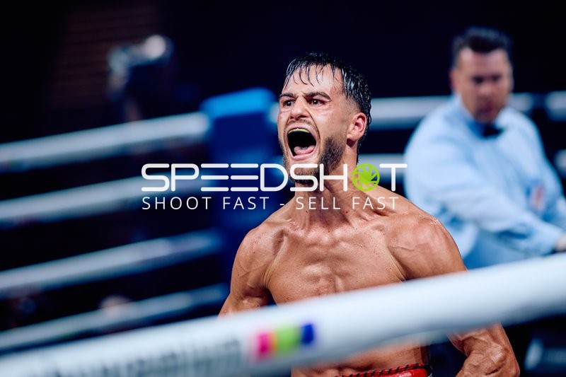 Boxer in Ringside Zone