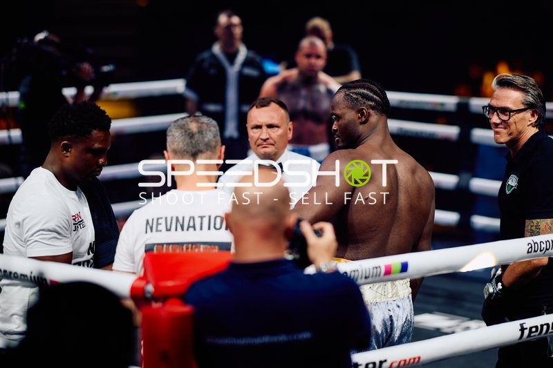 Boxer in Ringside Zone