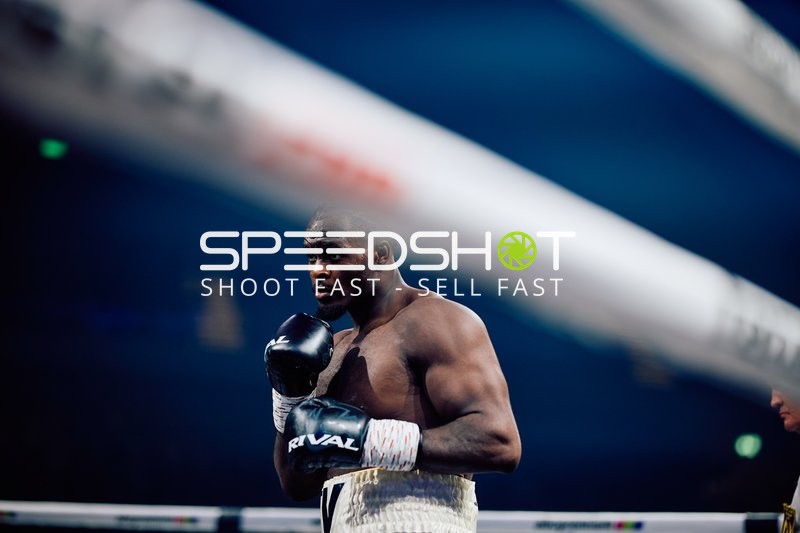 Boxer in Ringside Zone