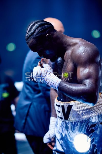 Boxer in der Ringside Zone