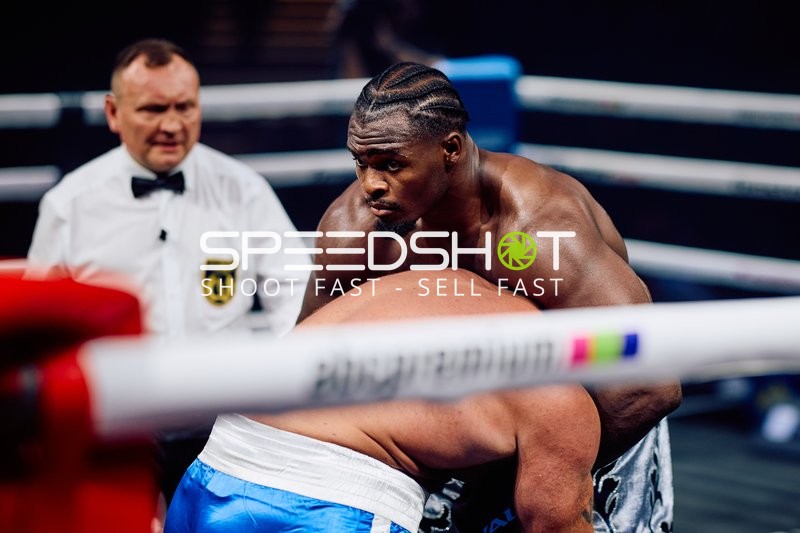 Boxer in Ringside Zone