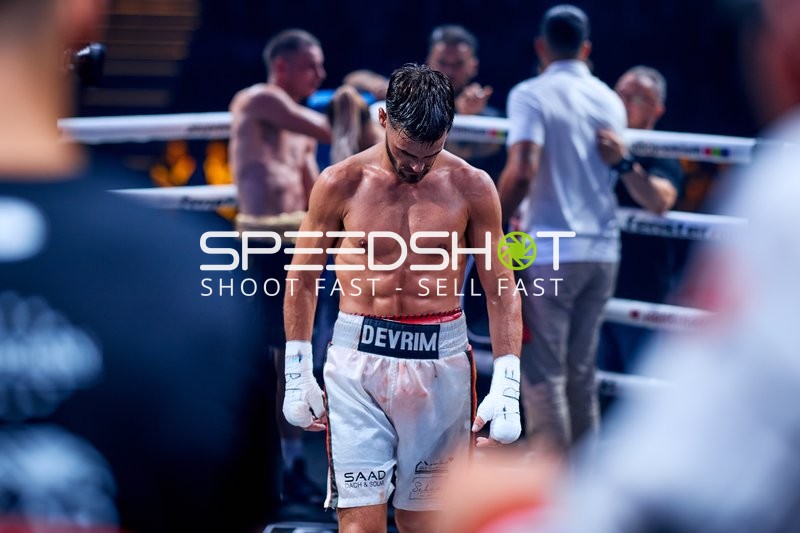 Boxer in Ringside Zone