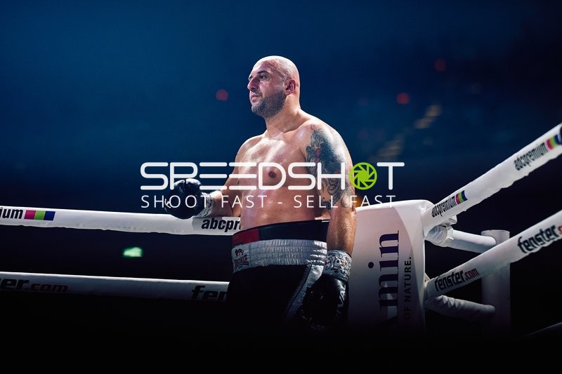 Boxer in Ringside Zone