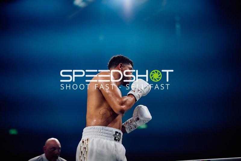 Boxer in Ringside Zone