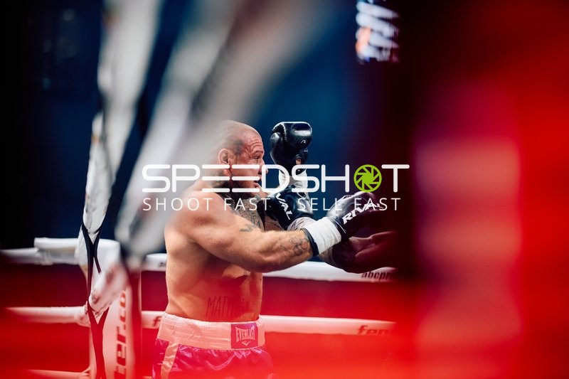 Boxer Schwergewicht in Aktion