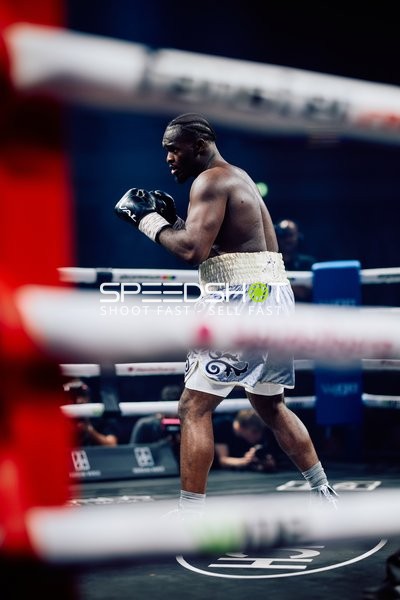 Boxer in Ringside Zone