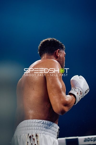 Boxer in Ringside Zone