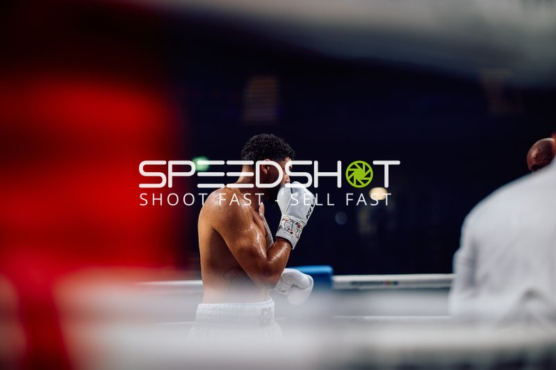 Boxer in Ringside Zone