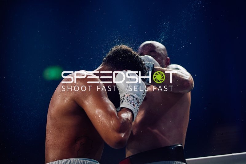 Boxer in Ringside Zone