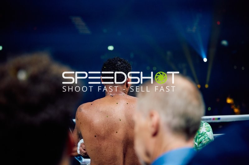 Boxer in Ringside Zone