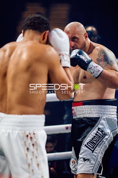 Boxer in Ringside Zone Boxevent