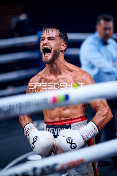 Boxer in Ringside Zone