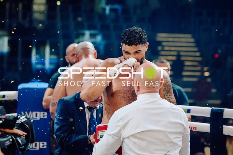 Boxer in Ringside Zone