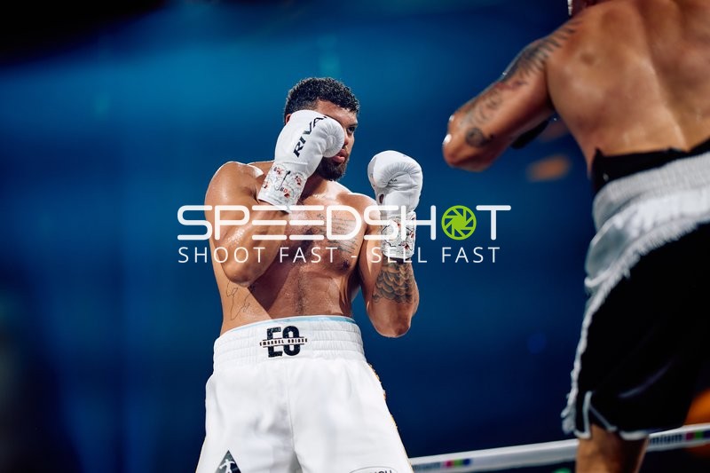 Boxer in Kampfhaltung