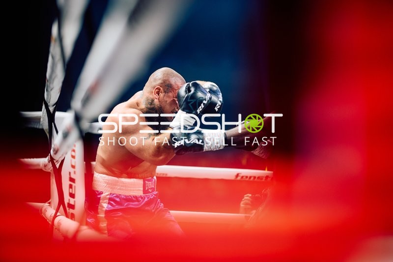 Boxer in Ringside Zone