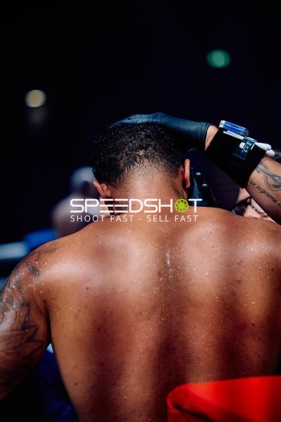 Boxer in Ringside Zone