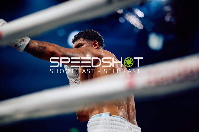 Boxer in Ringside Zone