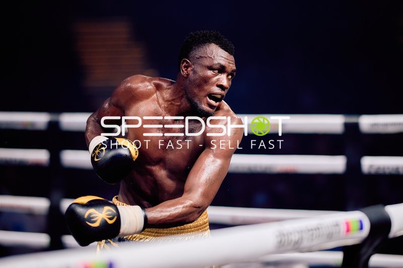 Boxer in Ringside Zone