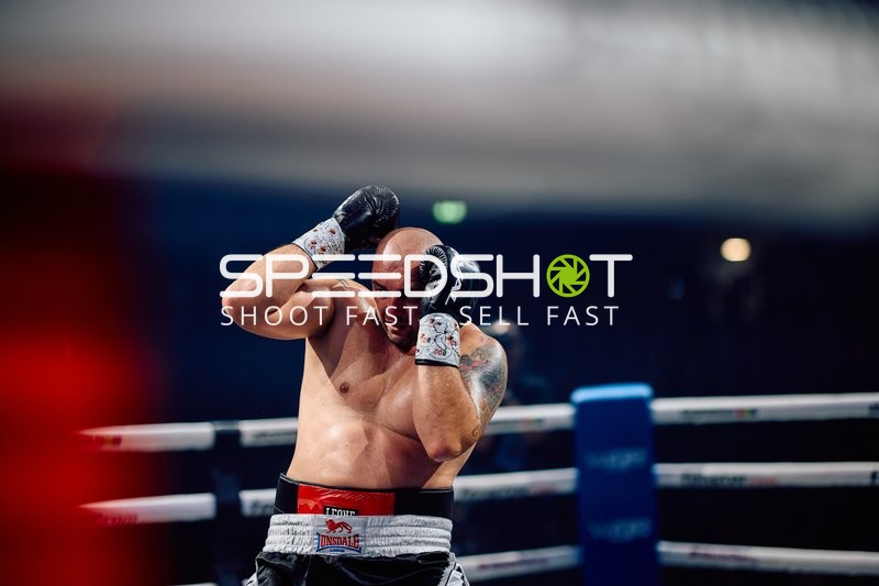 Boxer in Ringside Zone