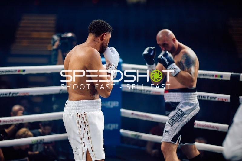 Boxer in Ringside Zone