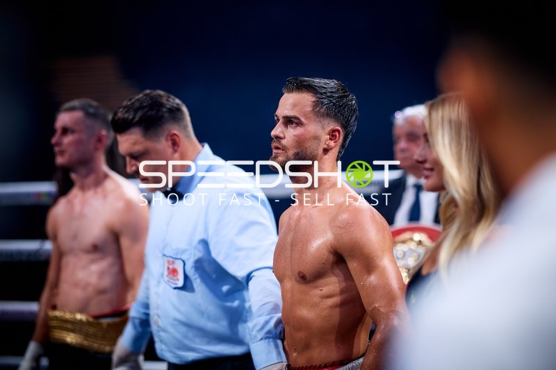 Boxer in Ringside Zone