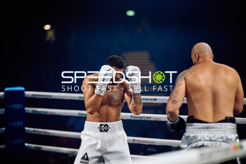 Boxer in Kampfhaltung