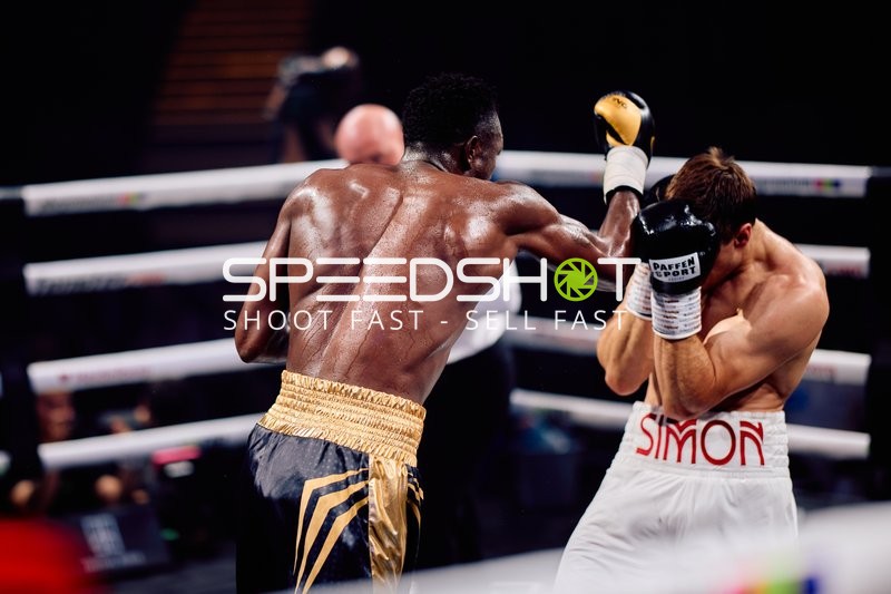 Boxer in Ringside Zone