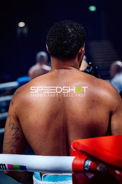 Boxer in Ringside Zone