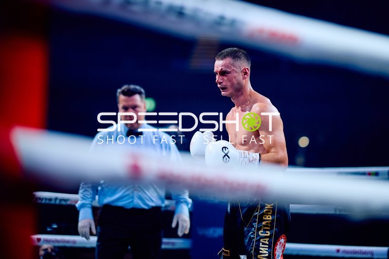 Boxer in Ringside Zone