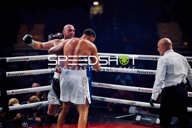 Boxer in Ringside Zone