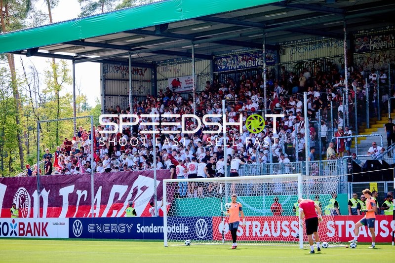 Fans feiern auf der Tribüne
