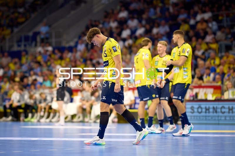 Rhein Neckar Löwen in Position