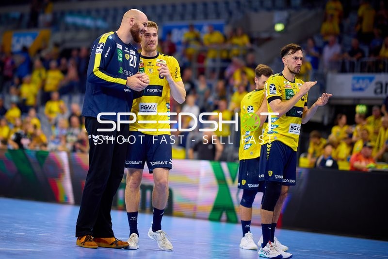 Rhein Neckar Löwen in Position