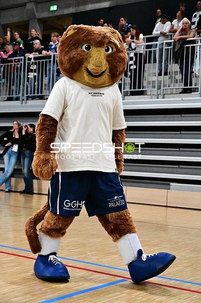 Maskottchen der MLP Academics