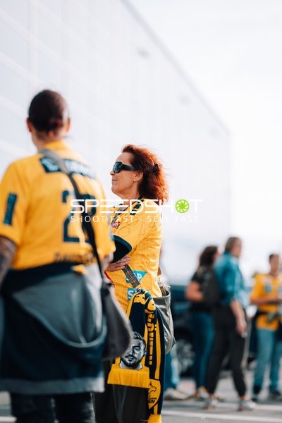 Fans der Rhein Neckar Löwen