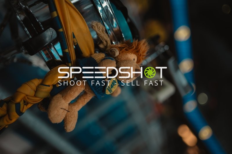 Team-Umfeld bei Rhein-Neckar Löwen